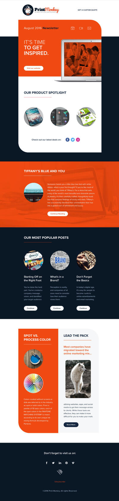 Screenshot of a email newsletter built for Print Monkey.