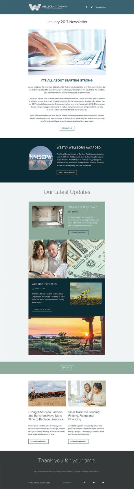 Screenshot of a email newsletter built for Wellborn & Company.