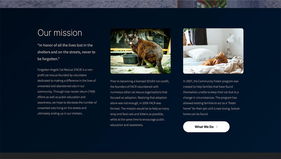 Screenshot of the Forgotten Angels Cat Rescue mission statement.