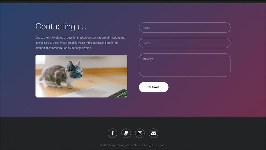 Screenshot of the Forgotten Angels Cat Rescue Contact form which features a picture of a kitten looking at a computer screen.
