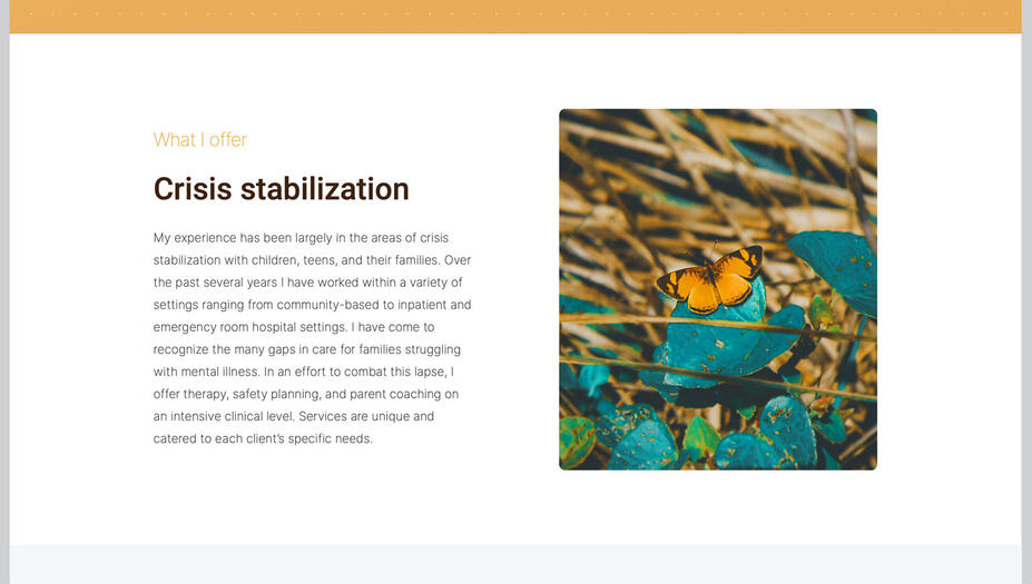 Screenshot of a section featuring Crisis Stabilization on Quintessential Therapies.