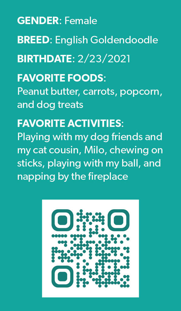 Image of the backside of Tellulah the Therapy Dog&#39;s business cars with her personal details and a QR code that links to her website.