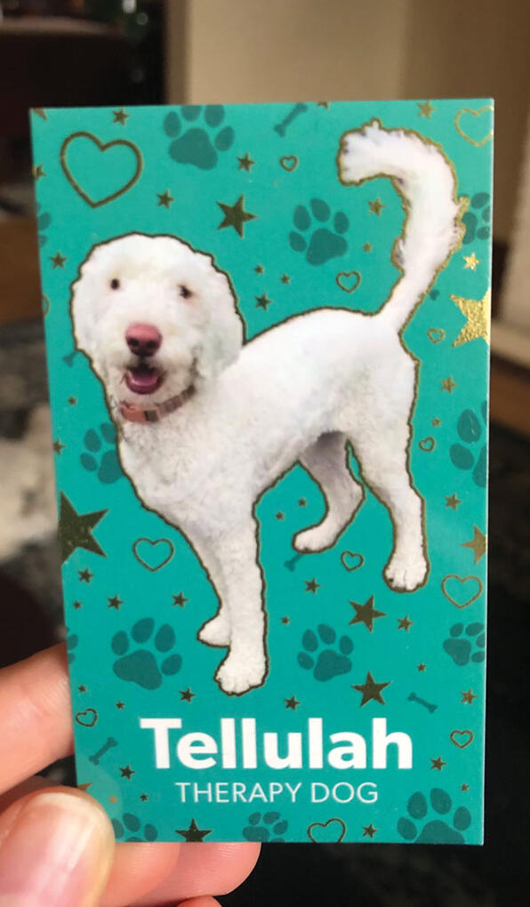 Photo of the front side of the finished product showing off the gold foil accents.