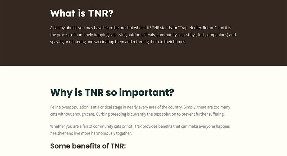 Screenshot of the Services offered by Quintessential Therapies.