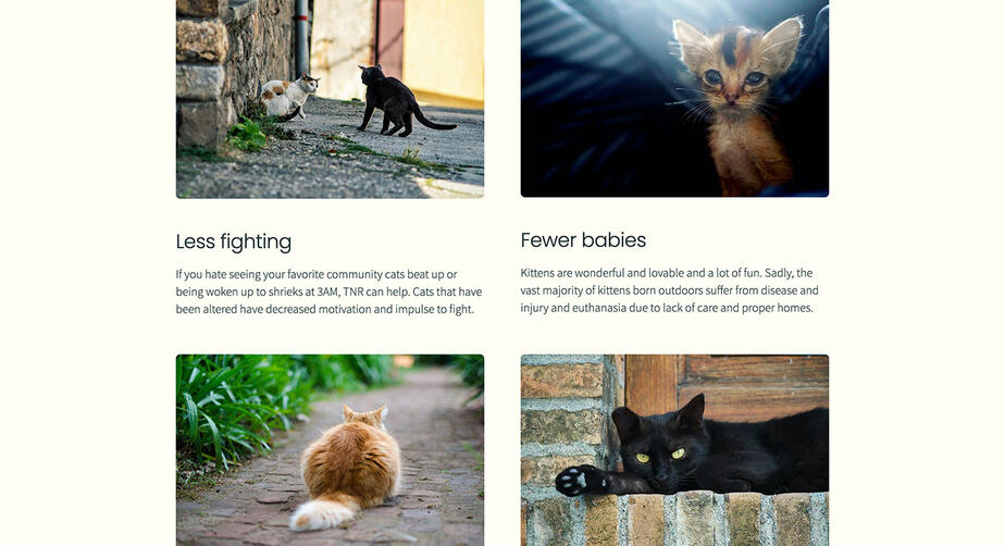 Screenshot of a section featuring Crisis Stabilization on Quintessential Therapies.