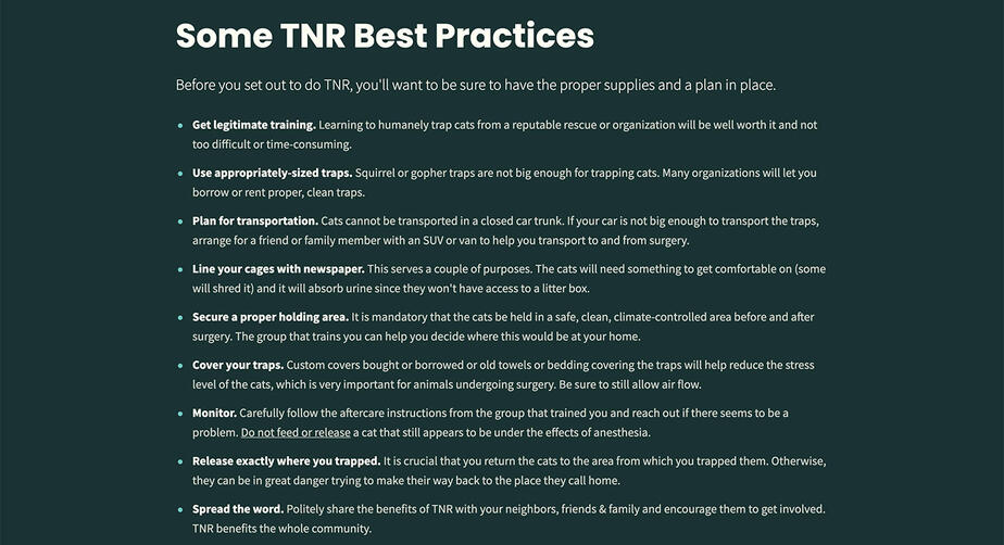 Screenshot of the available insurance options and rates on Quintessential Therapies.