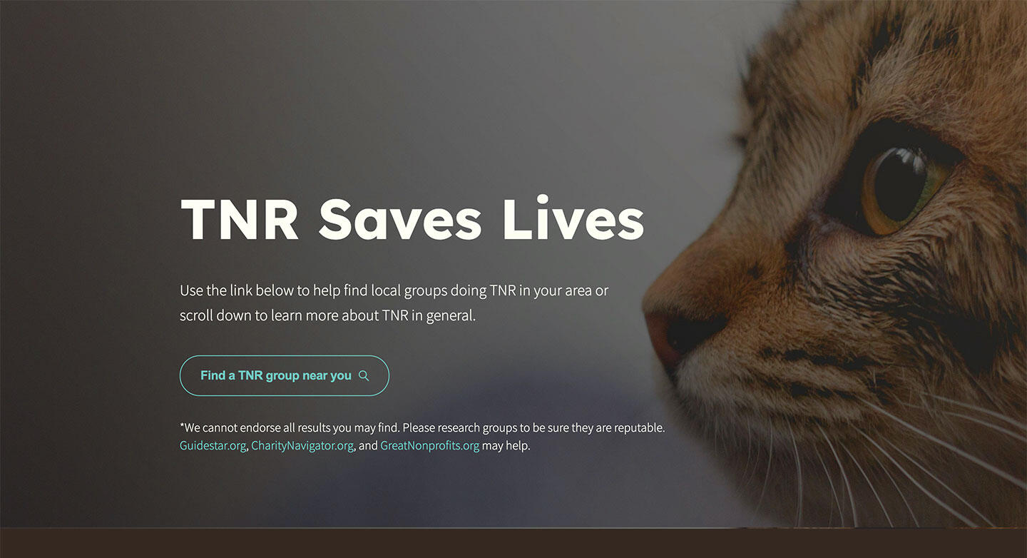 TNR Saves Lives website screenshot featuring a search link to help find TNR groups in your local area.